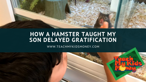 How a hamster taught my son delayed gratification